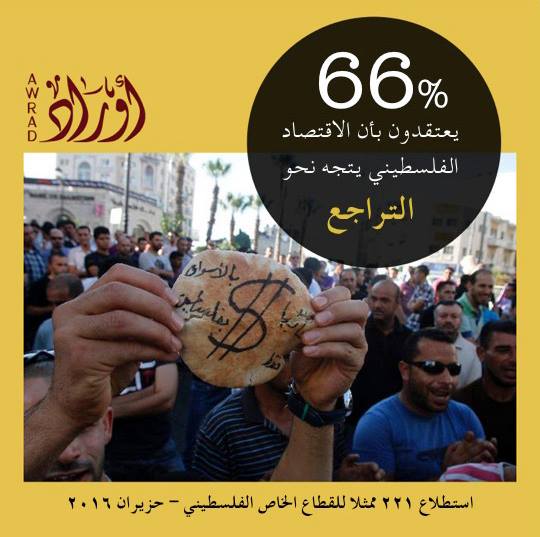 القطاع الخاص: استطلاع — 11