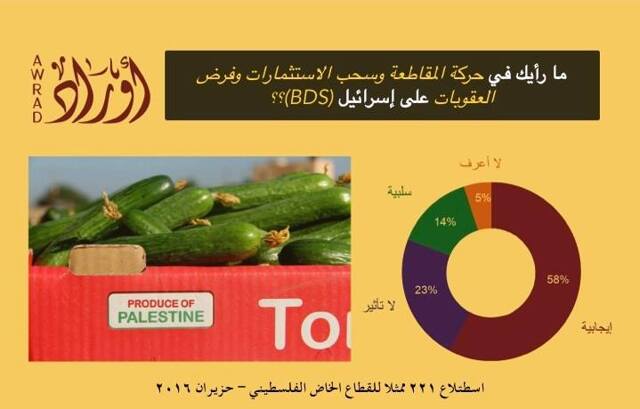 القطاع الخاص: استطلاع — 7