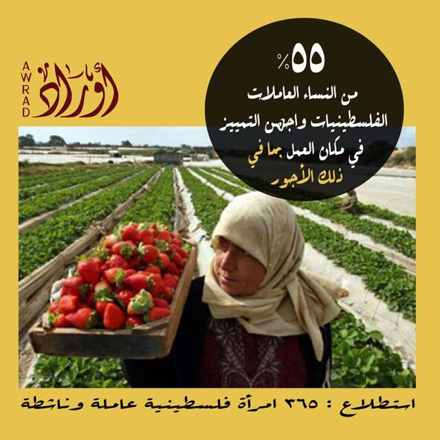 مشاركة النساء: استطلاع — 6