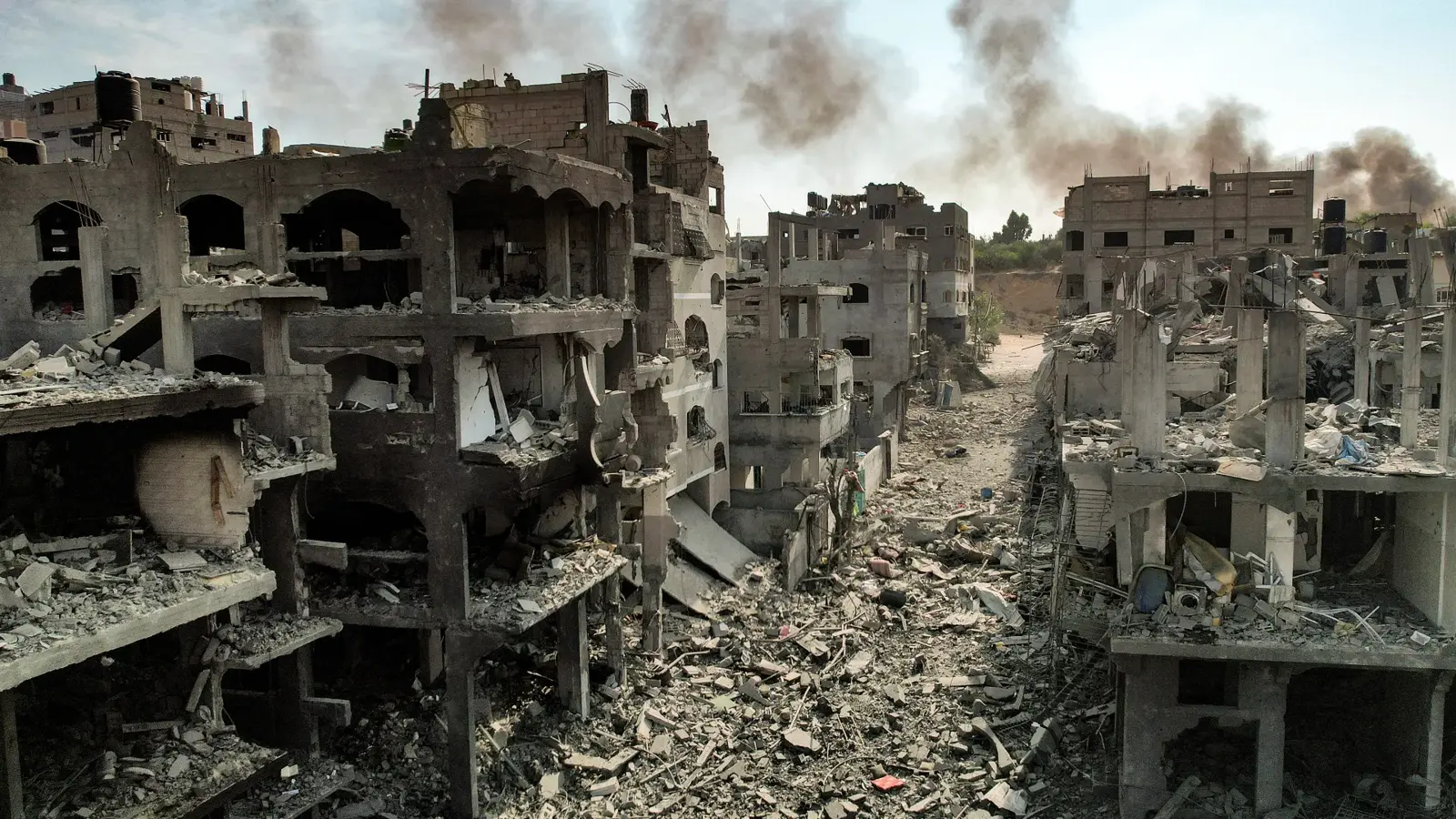Wartime Poll: Results of an Opinion Poll Among Palestinians in the West Bank and Gaza Strip